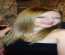 Valeriana84